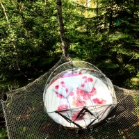 NUIT INSOLITE BULLE FORET GLAMPING (3)